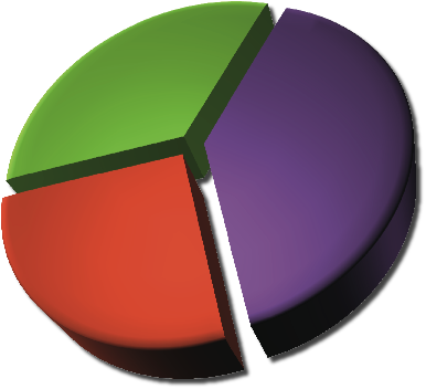 Visitor Demographics