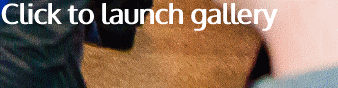 Click to launch gallery